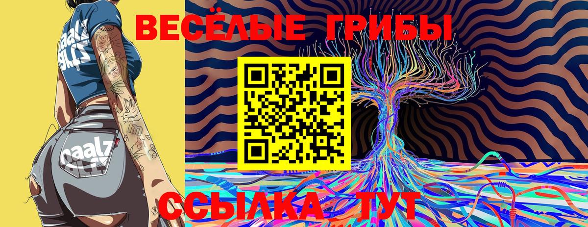Псилоцибиновые грибы GOLDEN TEACHER Кировск