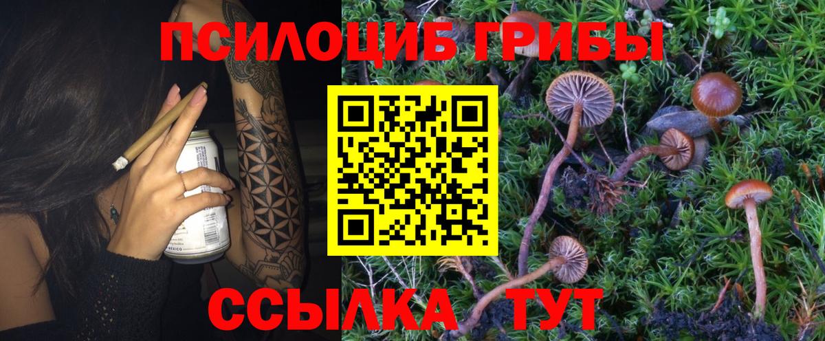 A-PVP Кировск